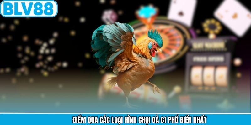 Điểm qua các loại hình chọi gà C1 phổ biến nhất