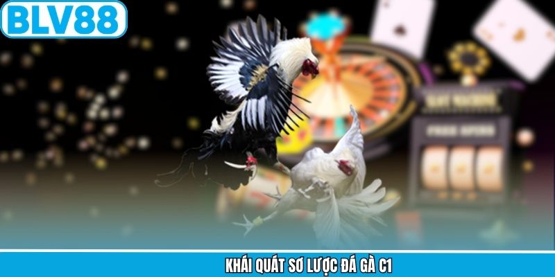Khái quát sơ lược đá gà C1