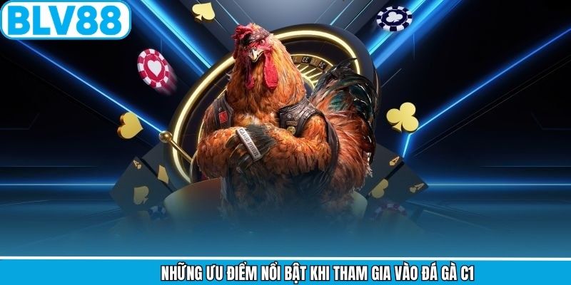 Những ưu điểm nổi bật khi tham gia vào đá gà C1