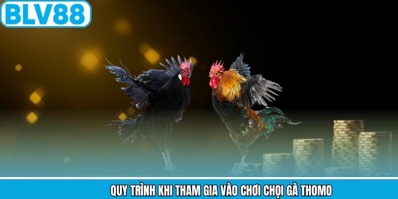 Quy trình khi tham gia vào choi chọi gà Thomo